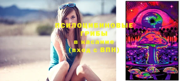 крисы Белокуриха