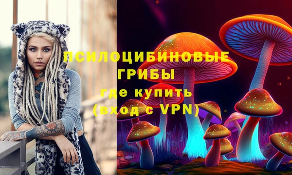 стафф Беломорск