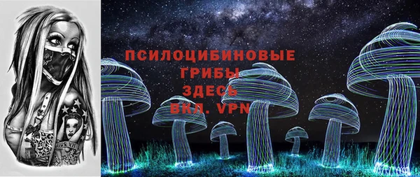 крисы Белокуриха