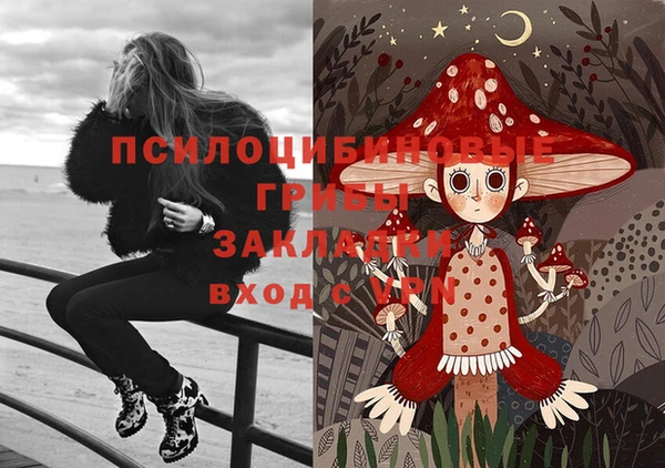 стафф Беломорск