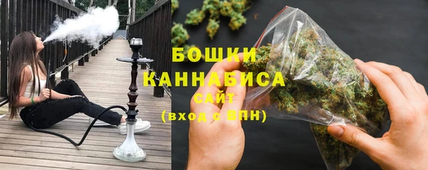 крисы Белокуриха