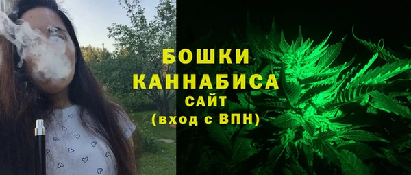 крисы Белокуриха