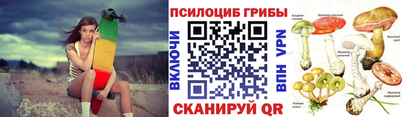 Псилоцибиновые грибы прущие грибы  omg вход  Черкесск 