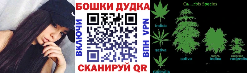 МАРИХУАНА Amnesia  Черкесск 